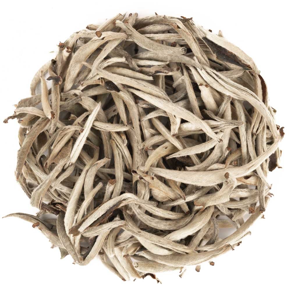 Té Blanco Silver Needle Yunnan Old Tree