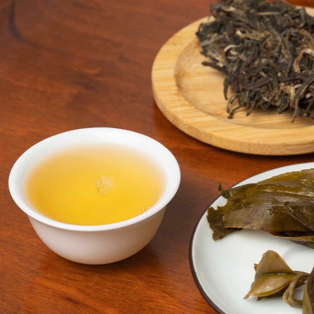 Pu Erh Yiwu Gua Feng Zhai Ancient Tree 2023