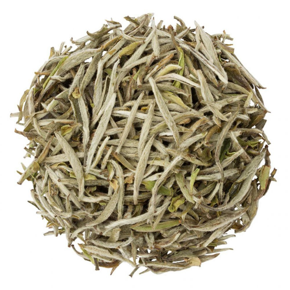 Té Blanco Silver Needle Nanguang Tea Garden
