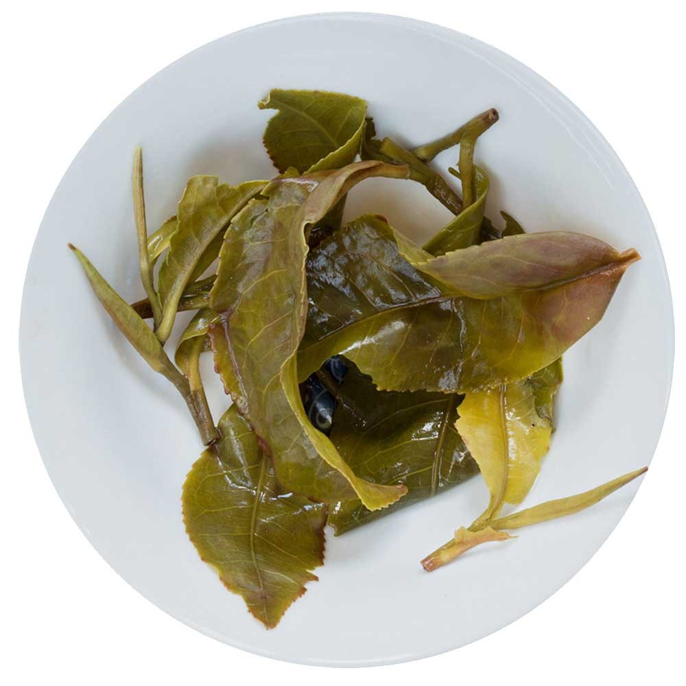 Té Negro Darjeeling Upper Fagu Spring Wonder FF 2024-1