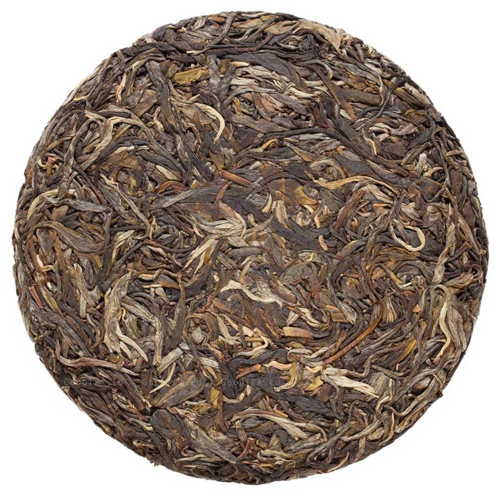 Pu Erh Bing Dao Gu Shu Raw 2023